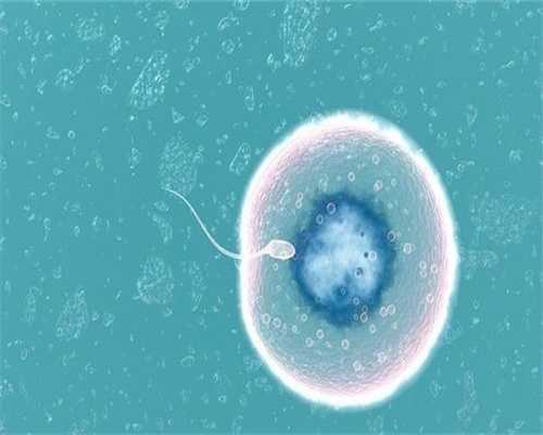 代孕哪家正规,在家自测输卵管的方法,孕晚期浮肿