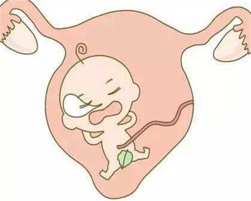 代孕生子能成功吗_代孕中介靠谱吗_满月代孕宝宝
