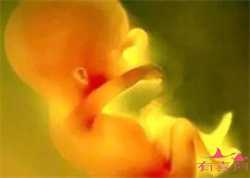 辽宁民营供卵机构，试管婴儿双胞胎的几率有多大？
