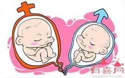 辽宁代孕包生男孩，辽宁省282家医院设置发热门诊