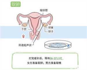 辽宁卵子代孕价格，辽宁公示12家人类辅助生殖技术医疗机构名单