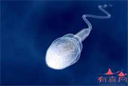 辽宁找代孕公司，辽宁省计划生育科学研究院附属医院试管要多长时间？