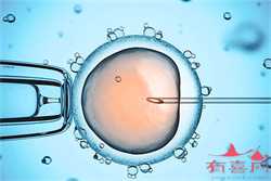 大连代孕代孕定义，发现大连：大连冻结卵子机构，推迟生育年龄的神器？