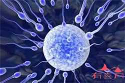 浙江可以供卵吗,2023郑州靠谱的助孕公司整理，供卵助孕费用及排队时间揭晓