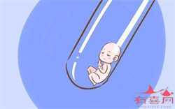 合法武汉代怀孕多少钱，武汉做第三代试管婴儿大约多少钱？